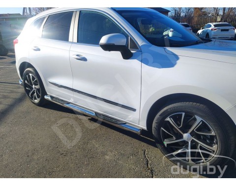 HAVAL JOLION с 2020-н.в. боковые подножки Delux d93 из нержавеющей стали